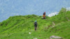 chamosentze_16_016