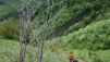 chamosentze_16_032