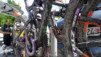 chamosentze_16_041