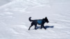 chantonnet_15_006