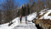 charmo_001