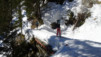 charmo_002