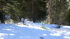 charmo_003