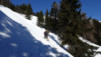 charmo_004