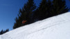 charmo_007