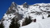 charmo_008