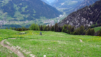 charriere_clambin_dent_012