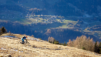 charrieres_dent_racine_20_003