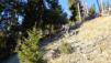 charrieres_dent_racine_20_016