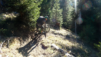 charrieres_dent_racine_20_019