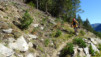chastelberg_038