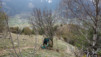 chateau_lichten_012