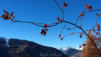 chaux_16_008