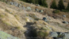 chaux_charriere_11_20_00006