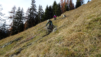 chaux_charriere_11_20_00010