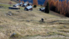 chaux_charriere_11_20_00012
