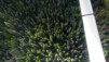 chilcotin_013