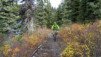 chilcotin_016
