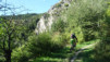 col_citrin_005