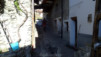 col_citrin_007