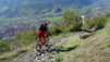 col_citrin_008