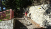 col_citrin_013