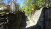 col_citrin_014