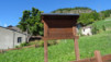 col_citrin_015