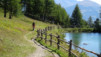col_citrin_017