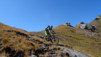 col_citrin_026