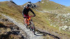 col_citrin_027