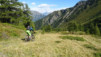 col_citrin_036