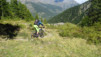 col_citrin_038