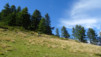 col_citrin_039