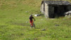 col_citrin_041
