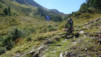 col_citrin_042