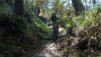 col_citrin_045