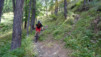 col_citrin_046