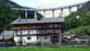 col_citrin_049