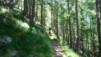 col_de_brison_012