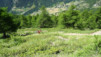 col_de_brison_014