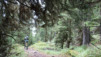 col_de_cou_14_002