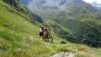 col_de_mille_e_18_011