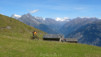 col_de_tardiva_005