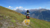col_de_tardiva_008