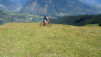 col_de_tardiva_019