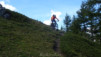col_de_tardiva_029