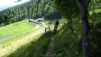 col_de_tardiva_032
