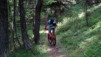 col_de_tardiva_037