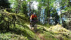 col_de_tardiva_039